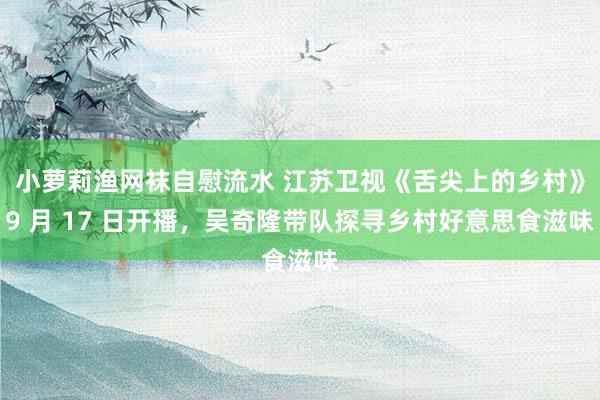 小萝莉渔网袜自慰流水 江苏卫视《舌尖上的乡村》9 月 17 日开播，吴奇隆带队探寻乡村好意思食滋味