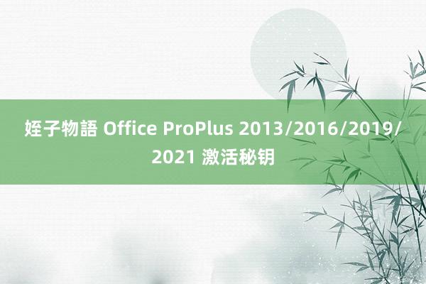 姪子物語 Office ProPlus 2013/2016/2019/2021 激活秘钥