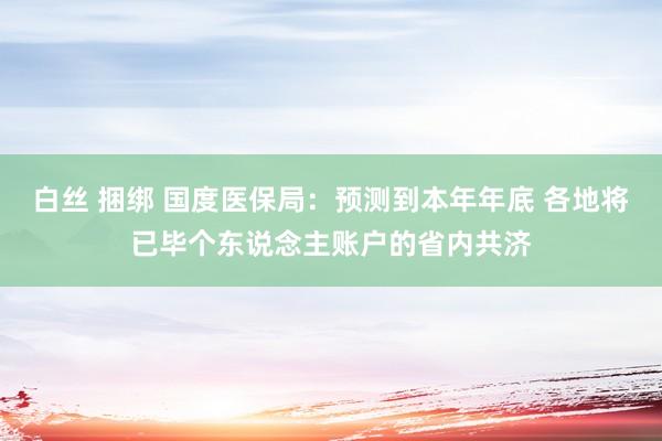 白丝 捆绑 国度医保局：预测到本年年底 各地将已毕个东说念主账户的省内共济