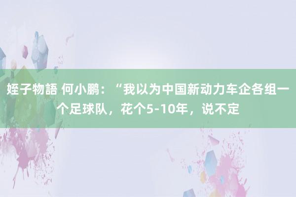 姪子物語 何小鹏：“我以为中国新动力车企各组一个足球队，花个5-10年，说不定