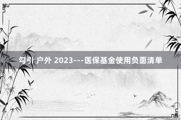 勾引 户外 2023---医保基金使用负面清单