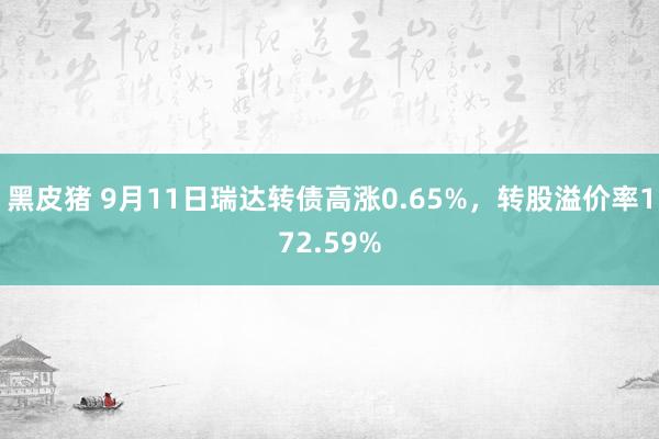 黑皮猪 9月11日瑞达转债高涨0.65%，转股溢价率172.59%