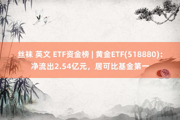 丝袜 英文 ETF资金榜 | 黄金ETF(518880)：净流出2.54亿元，居可比基金第一