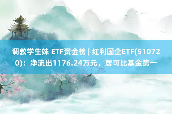 调教学生妹 ETF资金榜 | 红利国企ETF(510720)：净流出1176.24万元，居可比基金第一