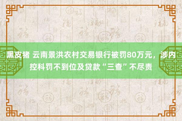 黑皮猪 云南景洪农村交易银行被罚80万元，涉内控科罚不到位及贷款“三查”不尽责