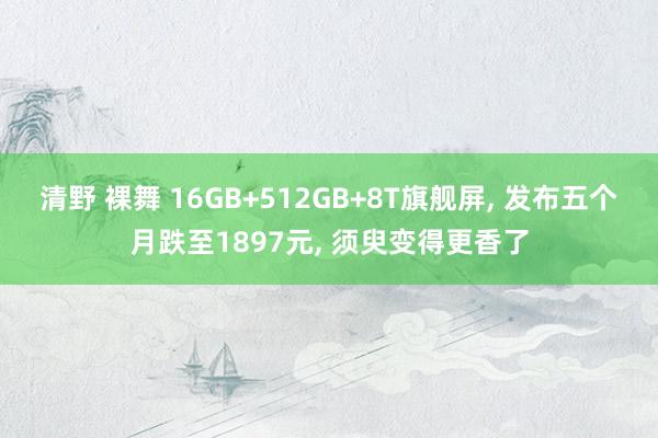 清野 裸舞 16GB+512GB+8T旗舰屏， 发布五个月跌至1897元， 须臾变得更香了