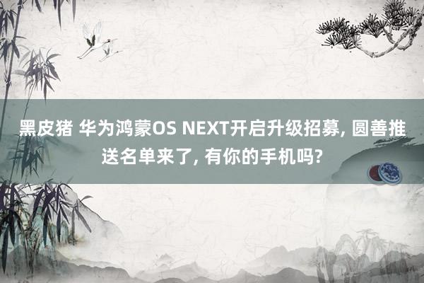 黑皮猪 华为鸿蒙OS NEXT开启升级招募， 圆善推送名单来了， 有你的手机吗?