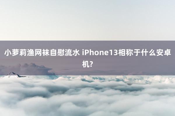 小萝莉渔网袜自慰流水 iPhone13相称于什么安卓机?