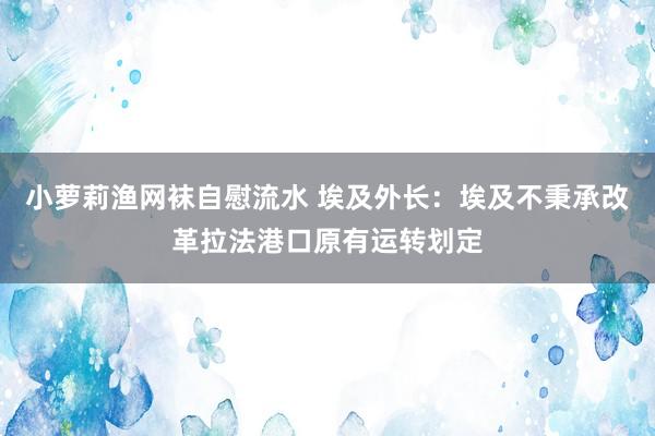 小萝莉渔网袜自慰流水 埃及外长：埃及不秉承改革拉法港口原有运转划定