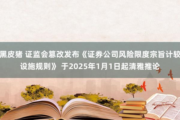 黑皮猪 证监会篡改发布《证券公司风险限度宗旨计较设施规则》 于2025年1月1日起清雅推论