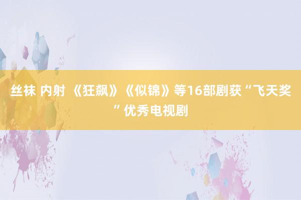 丝袜 内射 《狂飙》《似锦》等16部剧获“飞天奖”优秀电视剧