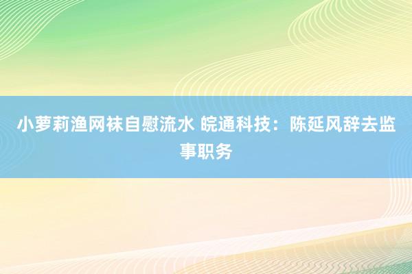 小萝莉渔网袜自慰流水 皖通科技：陈延风辞去监事职务