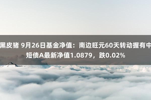 黑皮猪 9月26日基金净值：南边旺元60天转动握有中短债A最新净值1.0879，跌0.02%