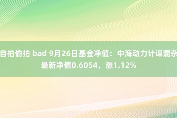 自拍偷拍 bad 9月26日基金净值：中海动力计谋混杂最新净值0.6054，涨1.12%