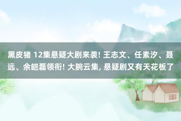 黑皮猪 12集悬疑大剧来袭! 王志文、任素汐、聂远、余皑磊领衔! 大腕云集， 悬疑剧又有天花板了