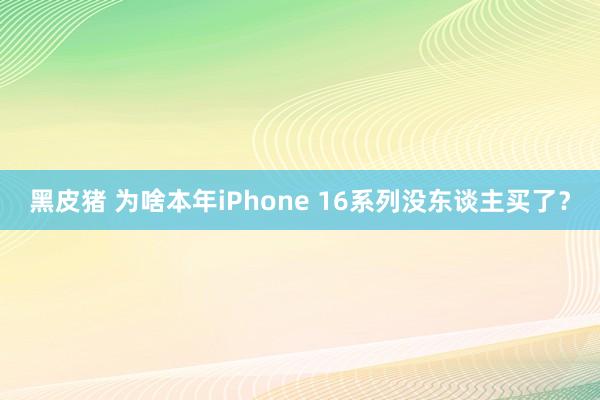 黑皮猪 为啥本年iPhone 16系列没东谈主买了？