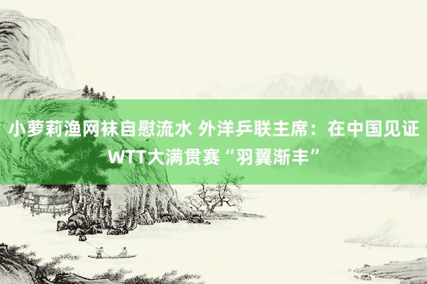 小萝莉渔网袜自慰流水 外洋乒联主席：在中国见证WTT大满贯赛“羽翼渐丰”