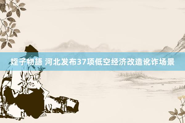 姪子物語 河北发布37项低空经济改造讹诈场景