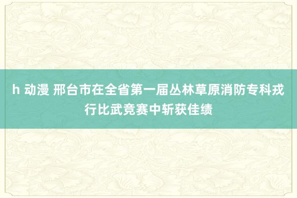 h 动漫 邢台市在全省第一届丛林草原消防专科戎行比武竞赛中斩获佳绩