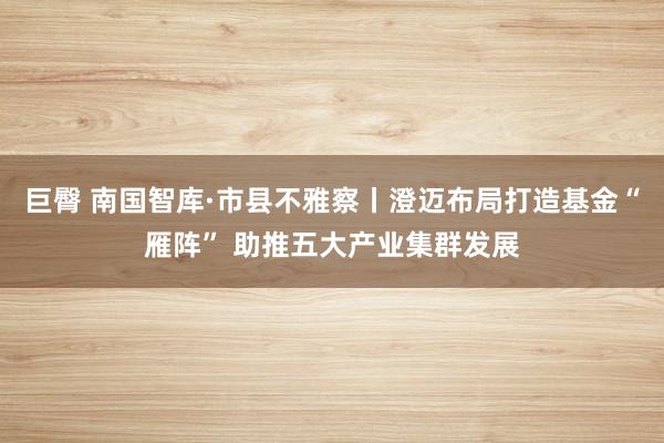 巨臀 南国智库·市县不雅察丨澄迈布局打造基金“雁阵” 助推五大产业集群发展