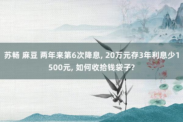 苏畅 麻豆 两年来第6次降息， 20万元存3年利息少1500元， 如何收拾钱袋子?