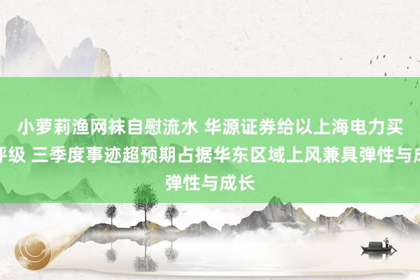 小萝莉渔网袜自慰流水 华源证券给以上海电力买入评级 三季度事迹超预期占据华东区域上风兼具弹性与成长