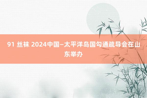 91 丝袜 2024中国—太平洋岛国勾通疏导会在山东举办