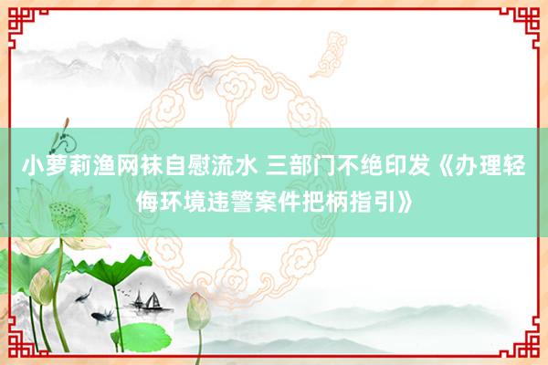 小萝莉渔网袜自慰流水 三部门不绝印发《办理轻侮环境违警案件把柄指引》