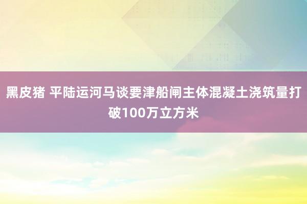 黑皮猪 平陆运河马谈要津船闸主体混凝土浇筑量打破100万立方米