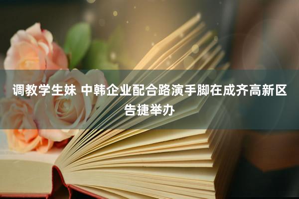 调教学生妹 中韩企业配合路演手脚在成齐高新区告捷举办