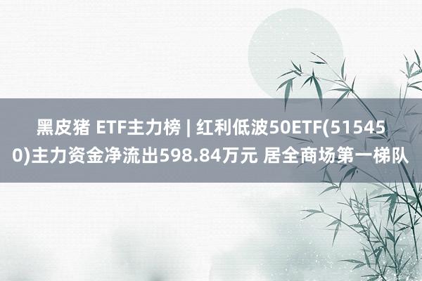 黑皮猪 ETF主力榜 | 红利低波50ETF(515450)主力资金净流出598.84万元 居全商场第一梯队