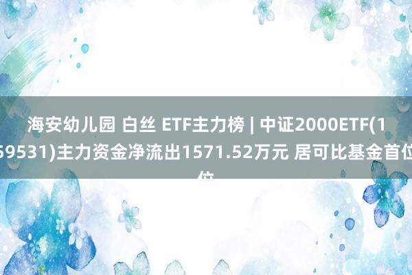 海安幼儿园 白丝 ETF主力榜 | 中证2000ETF(159531)主力资金净流出1571.52万元 居可比基金首位