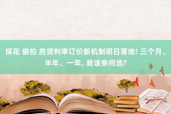 探花 偷拍 房贷利率订价新机制明日落地! 三个月、半年、一年， 我该奈何选?