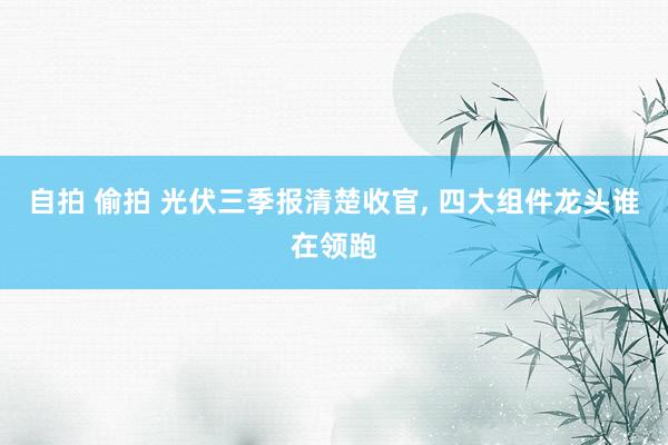 自拍 偷拍 光伏三季报清楚收官， 四大组件龙头谁在领跑