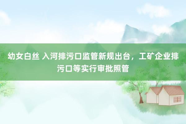 幼女白丝 入河排污口监管新规出台，工矿企业排污口等实行审批照管