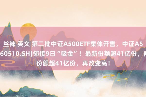 丝袜 英文 第二批中证A500ETF集体开售，中证A500ETF(560510.SH)邻接9日“吸金”！最新份额超41亿份，再改变高！