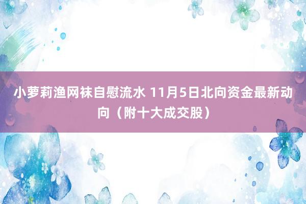 小萝莉渔网袜自慰流水 11月5日北向资金最新动向（附十大成交股）