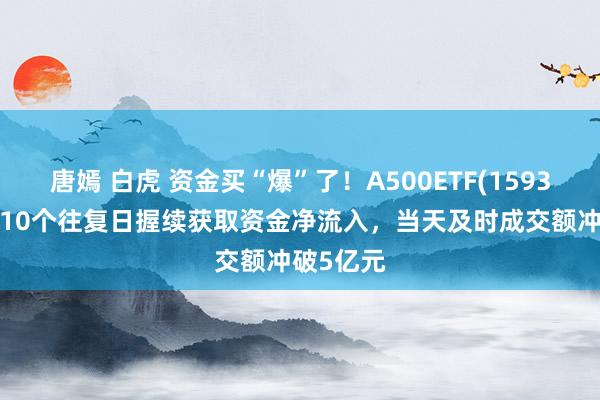 唐嫣 白虎 资金买“爆”了！A500ETF(159339)往常10个往复日握续获取资金净流入，当天及时成交额冲破5亿元