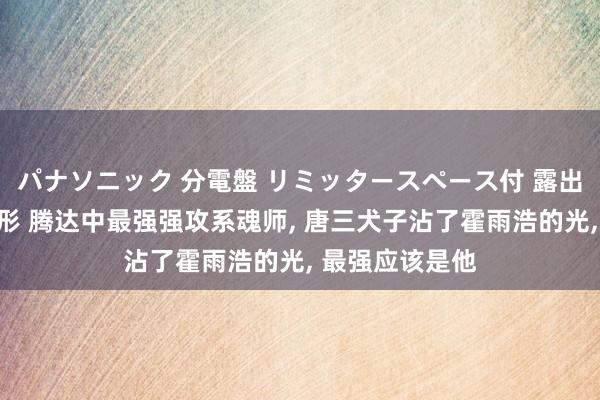 パナソニック 分電盤 リミッタースペース付 露出・半埋込両用形 腾达中最强强攻系魂师， 唐三犬子沾了霍雨浩的光， 最强应该是他