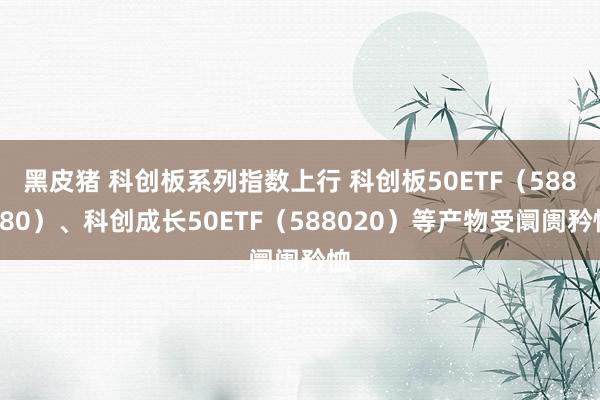 黑皮猪 科创板系列指数上行 科创板50ETF（588080）、科创成长50ETF（588020）等产物受阛阓矜恤