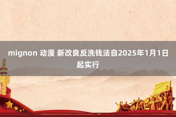 mignon 动漫 新改良反洗钱法自2025年1月1日起实行