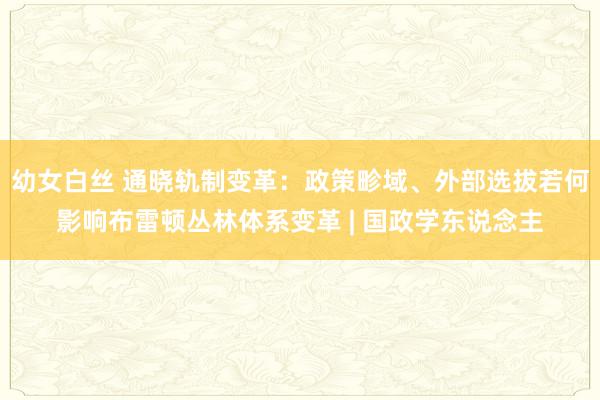 幼女白丝 通晓轨制变革：政策畛域、外部选拔若何影响布雷顿丛林体系变革 | 国政学东说念主