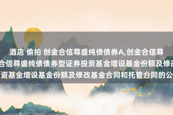 酒店 偷拍 创金合信尊盛纯债债券A，创金合信尊盛纯债债券C: 对于创金合信尊盛纯债债券型证券投资基金增设基金份额及修改基金合同和托管合同的公告