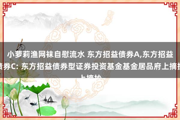 小萝莉渔网袜自慰流水 东方招益债券A，东方招益债券C: 东方招益债券型证券投资基金基金居品府上摘抄