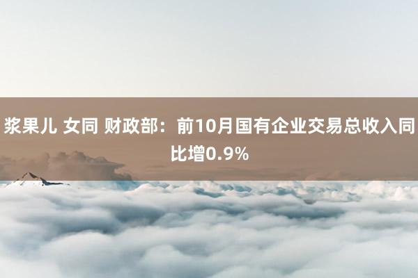 浆果儿 女同 财政部：前10月国有企业交易总收入同比增0.9%