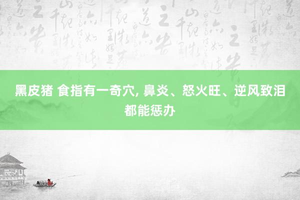 黑皮猪 食指有一奇穴， 鼻炎、怒火旺、逆风致泪都能惩办