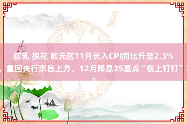 巨乳 探花 欧元区11月长入CPI同比升至2.3%，重回央行宗旨上方，12月降息25基点“板上钉钉”？