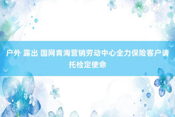 户外 露出 国网青海营销劳动中心全力保险客户请托检定使命