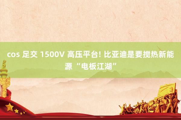 cos 足交 1500V 高压平台! 比亚迪是要搅热新能源 “电板江湖”