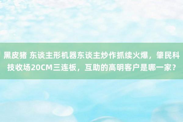 黑皮猪 东谈主形机器东谈主炒作抓续火爆，肇民科技收场20CM三连板，互助的高明客户是哪一家？